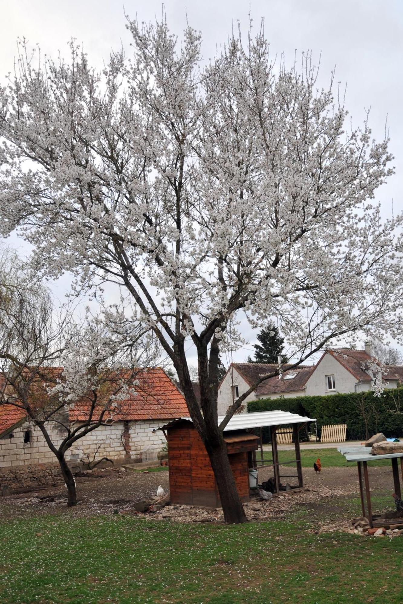 La Ferme De Flo' Villa Evry  Exterior photo
